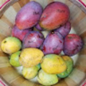 Meet your Posher, Alexander